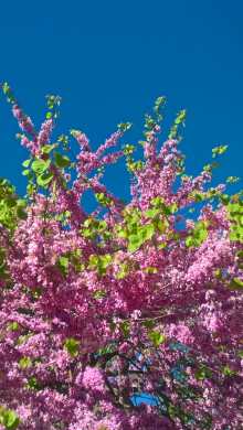 9a05d1f5-0e1e-4a8e-88fc-0117aee3bbb3